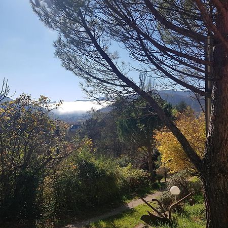 Mandala Daire Saint-Affrique Dış mekan fotoğraf